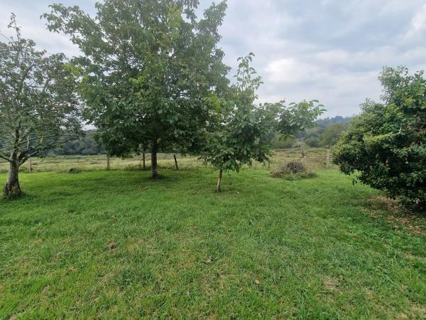 Detached villa for sale in , Sada photo 4