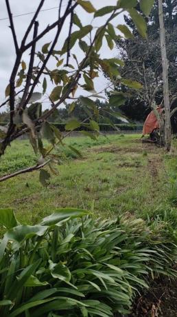 Detached villa for sale in Dorneda, Oleiros thumbnail 2