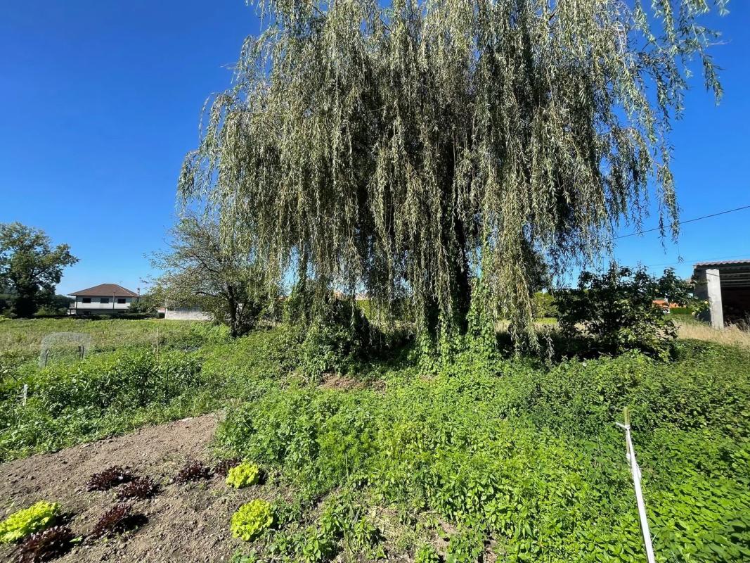 Продажа отдельного шале в , Ларача photo 2