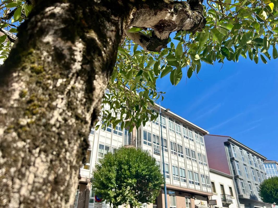 Продажа квартиры на Calle de Santa Marta de Arriba, Сантьяго-де-Компостела
photo 2