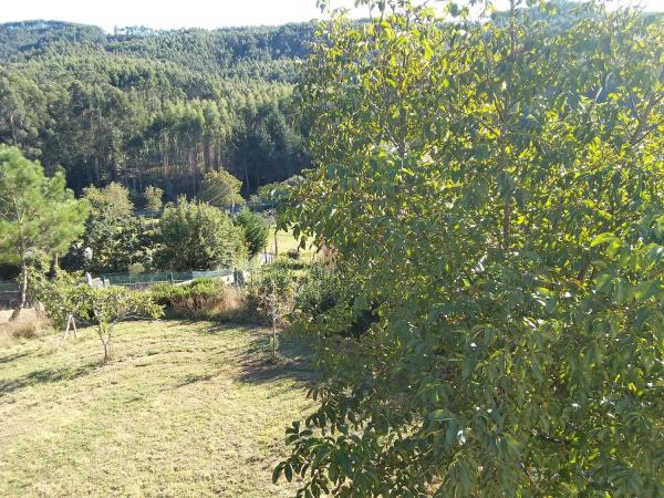Detached villa for sale in , Coiros photo 3