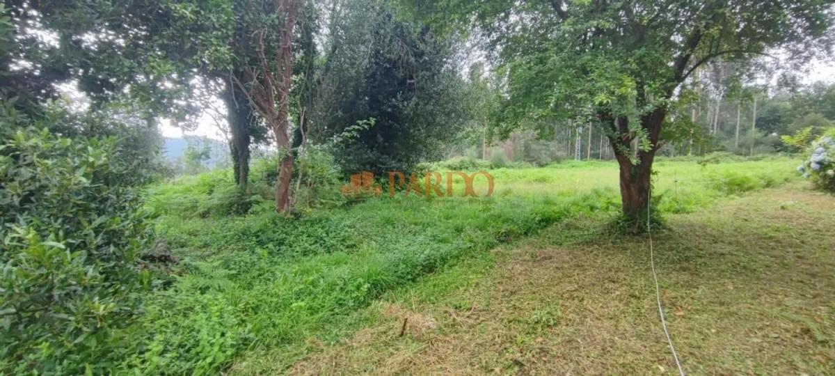 Sale of independent chalet in Sedes-Pedroso-Doso, Narón
 photo 4