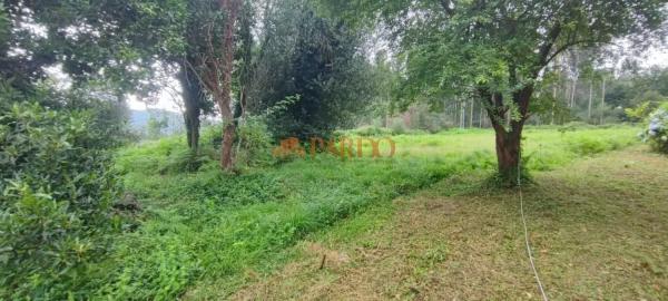 Detached villa for sale in  Sedes-Pedroso-Doso, Narón photo 4