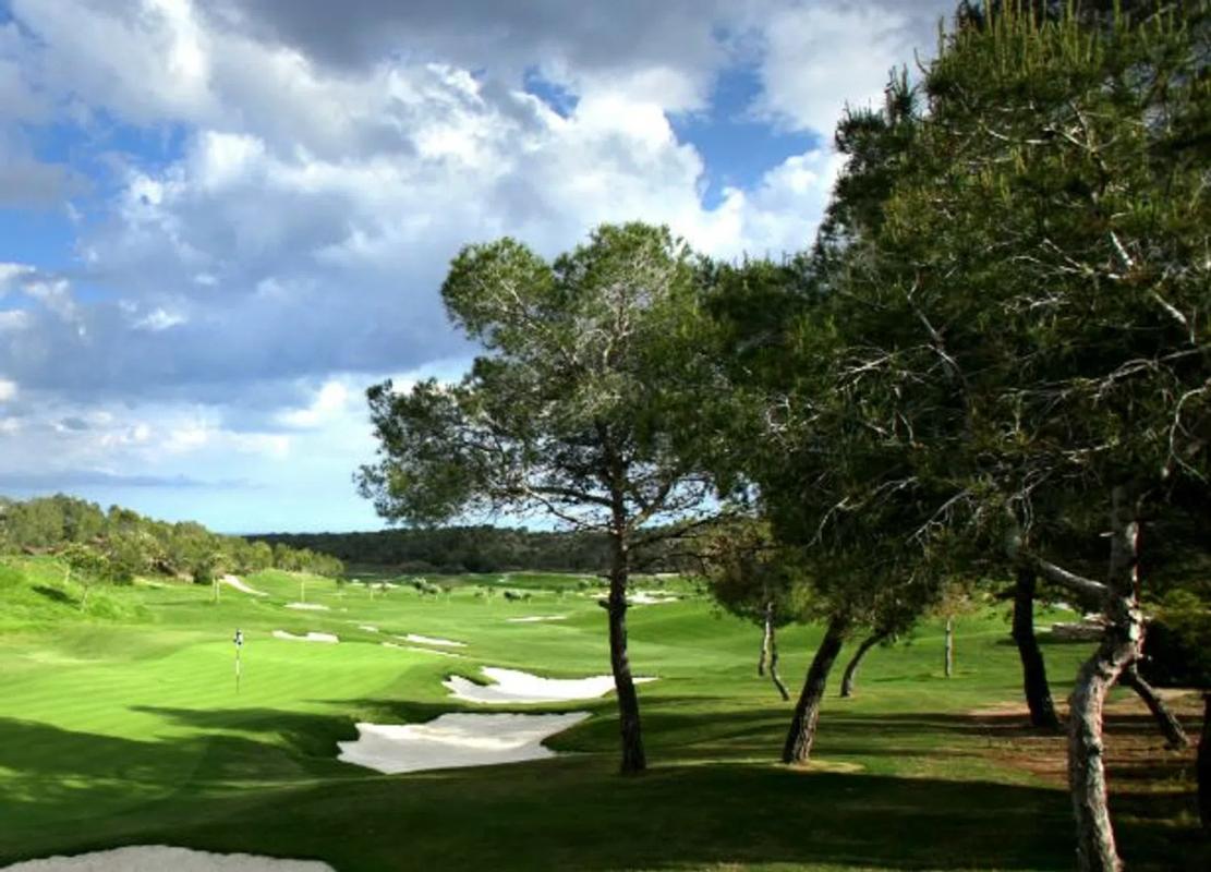 Sprzedaż poddasza w Avenida de las Colinas, 10, Orihuela photo 3
