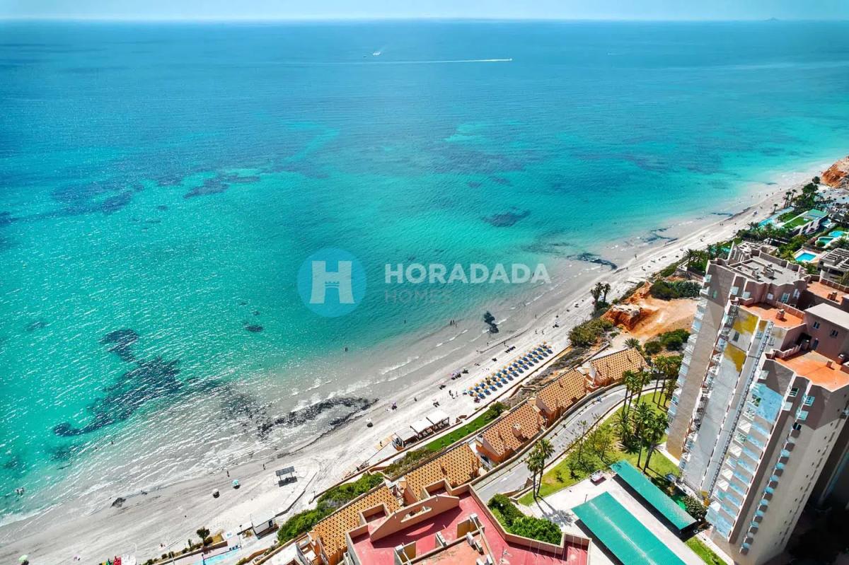 Sale of independent chalet in Ronda de Garcilaso, Orihuela
photo 4