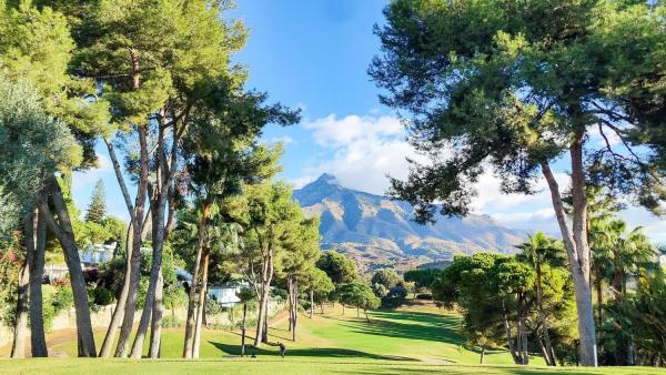 Wolnostojąca willa na sprzedaż w  Avenida del Golf, Marbella photo 1