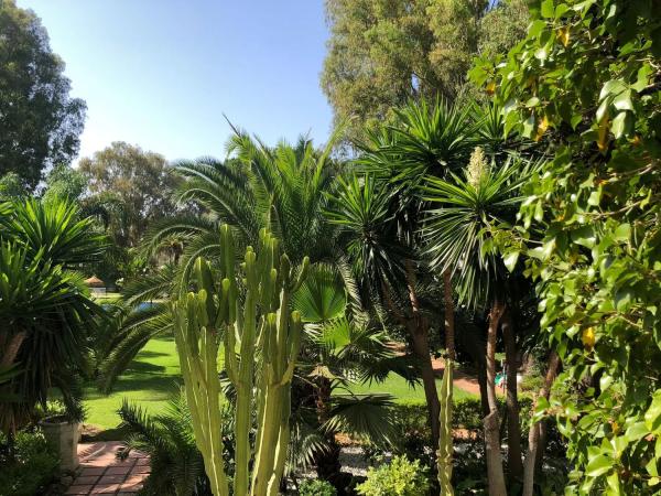 Apartment for sale in  Lugar Urbanizacion Fuentes del Rodeo, 5, Marbella photo 1