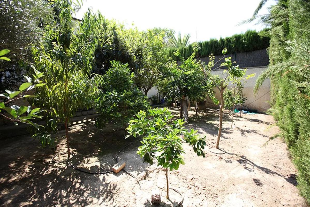 Venta de chalet independiente en Calle Madrid, 35, El Campello
 photo 4