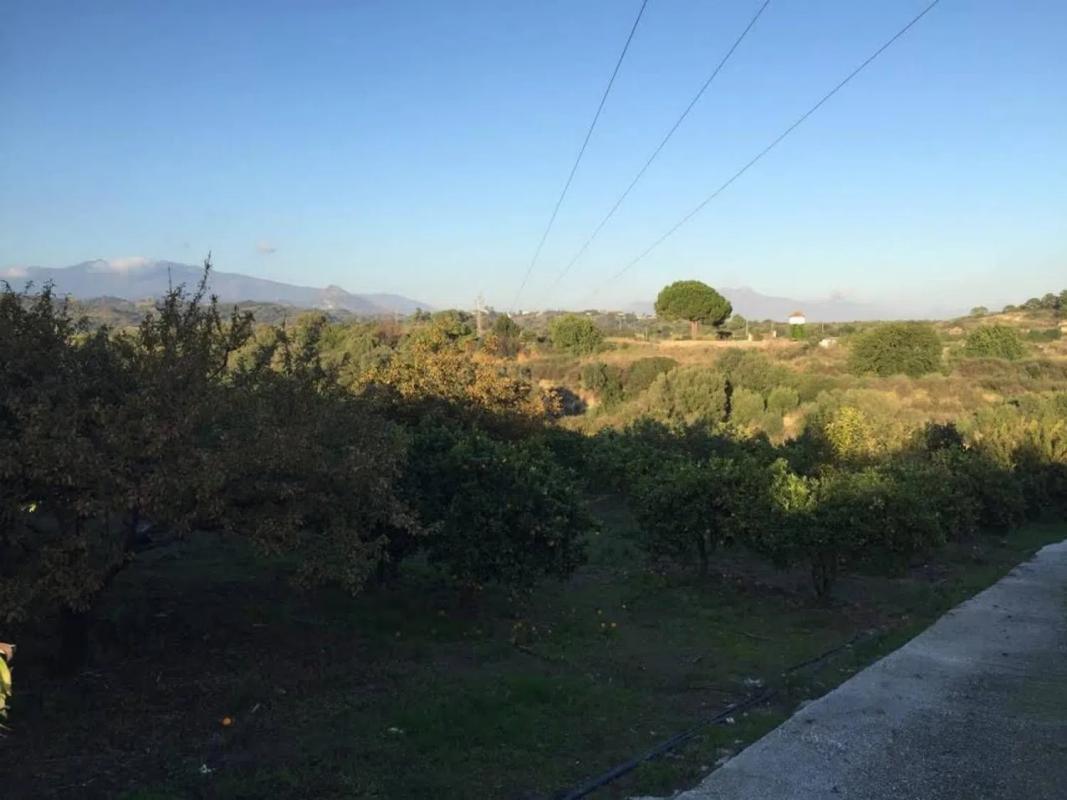 Venta de chalet independiente en Camino Alberdina, Estepona
 photo 3