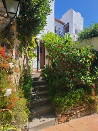 Wolnostojąca willa na sprzedaż w  Calle Maestro Chueca, 2, Estepona photo 1