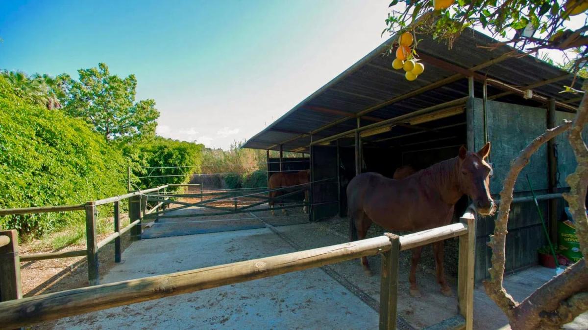 Venta de chalet independiente en Camino Loma los Lirios, Estepona
photo 3