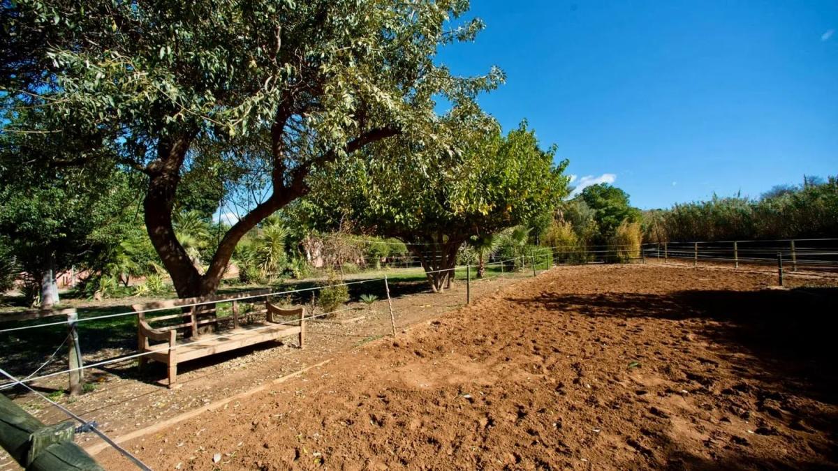 Venta de chalet independiente en Camino Loma los Lirios, Estepona
photo 4