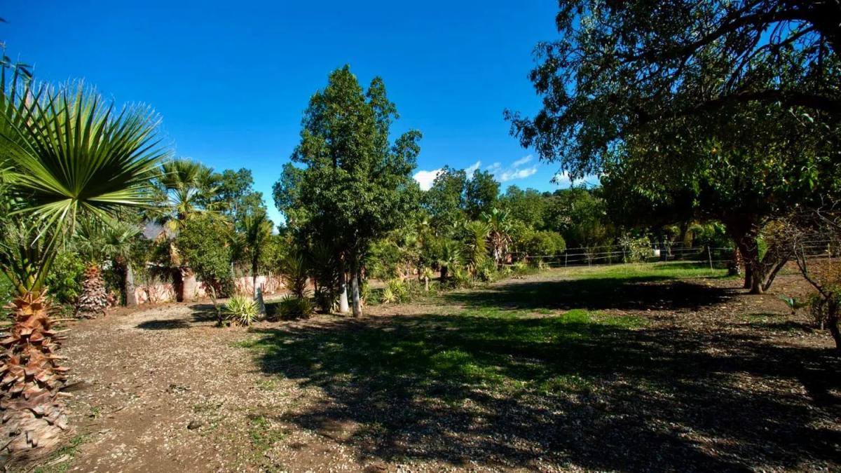 Venta de chalet independiente en Camino Loma los Lirios, Estepona
photo 5