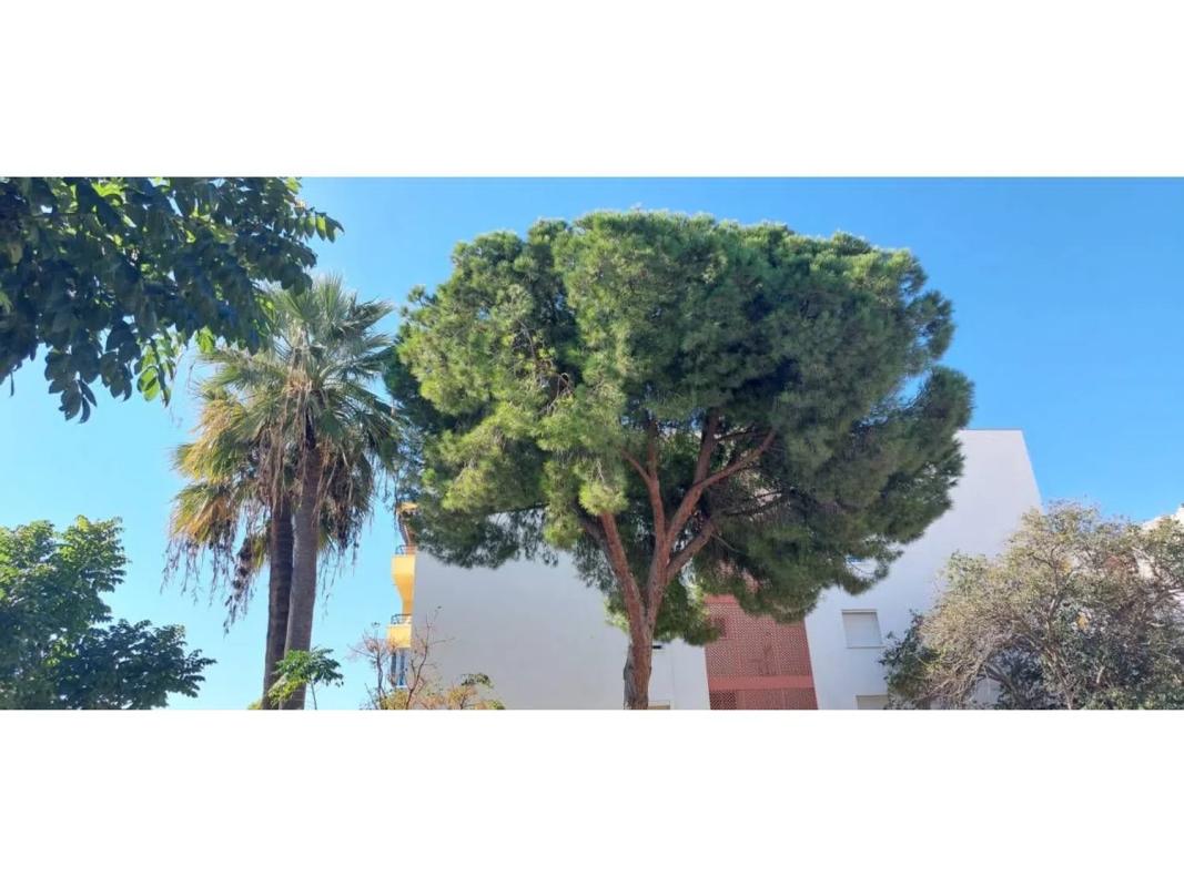 Venta de chalet independiente en Barrio Centro, Estepona
 photo 5