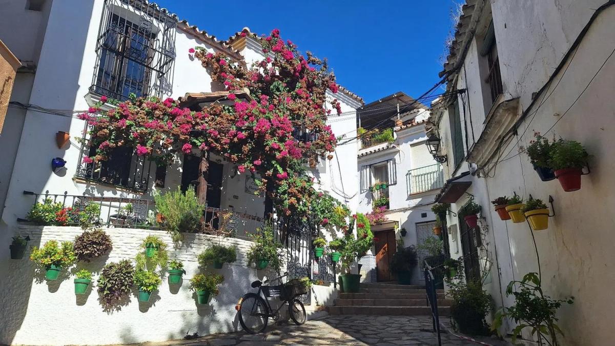 Sale of independent chalet in Barrio Centro, Estepona
photo 2