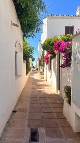 Chalet independiente en venta en  Calle Teodoro Rojo, Estepona photo 4