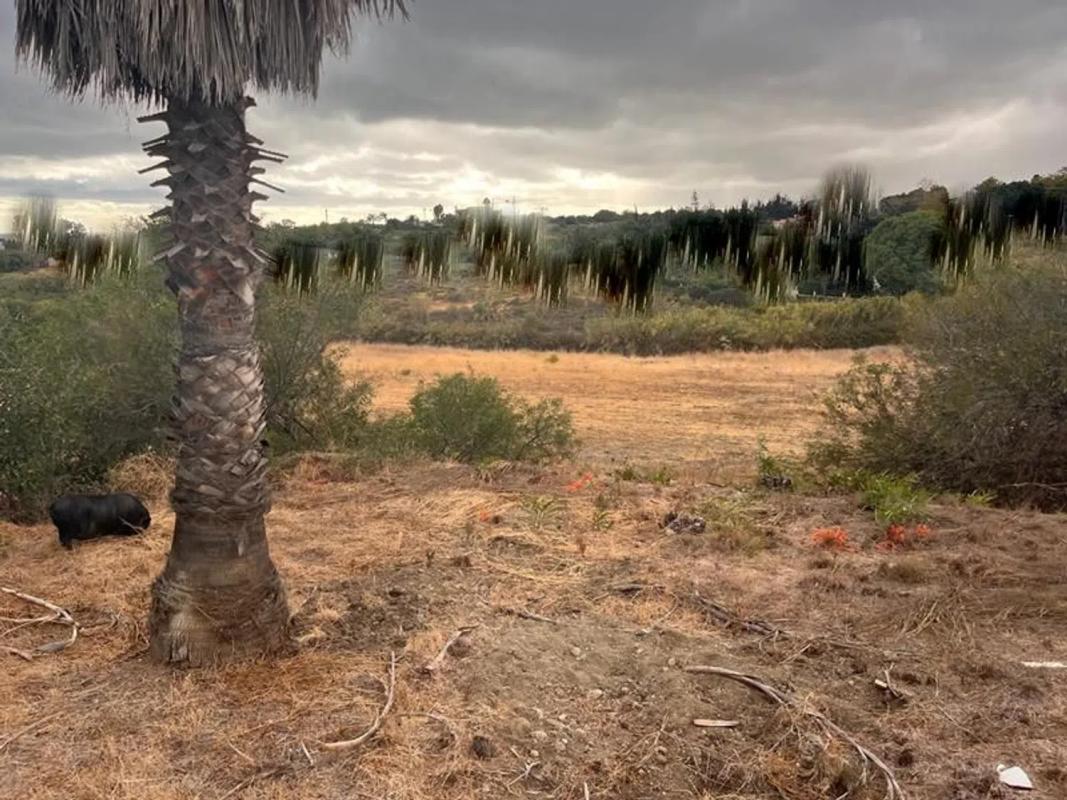 Venta de chalet independiente en Barrio Estepona Golf, Estepona
photo 4