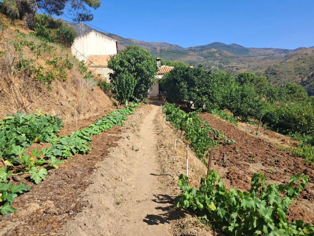 Venta de chalet independiente en Barrio Centro, Estepona
photo 4