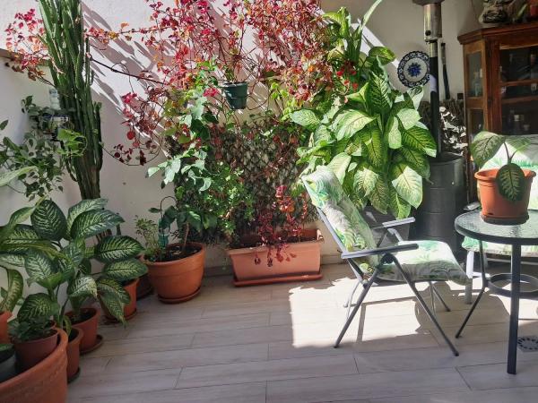 Коттедж на продажу в  Barrio Centro, Эстепона photo 1