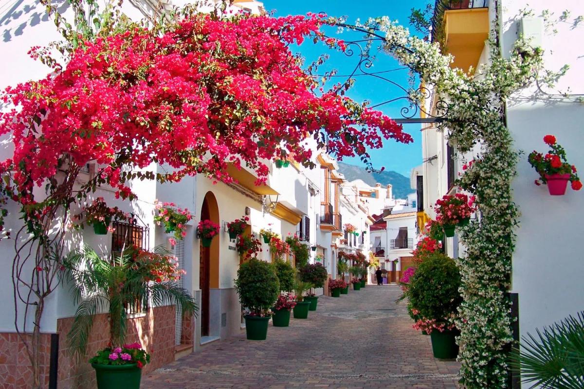 Venta de piso en Calle Casas del Padrón, Estepona
photo 3