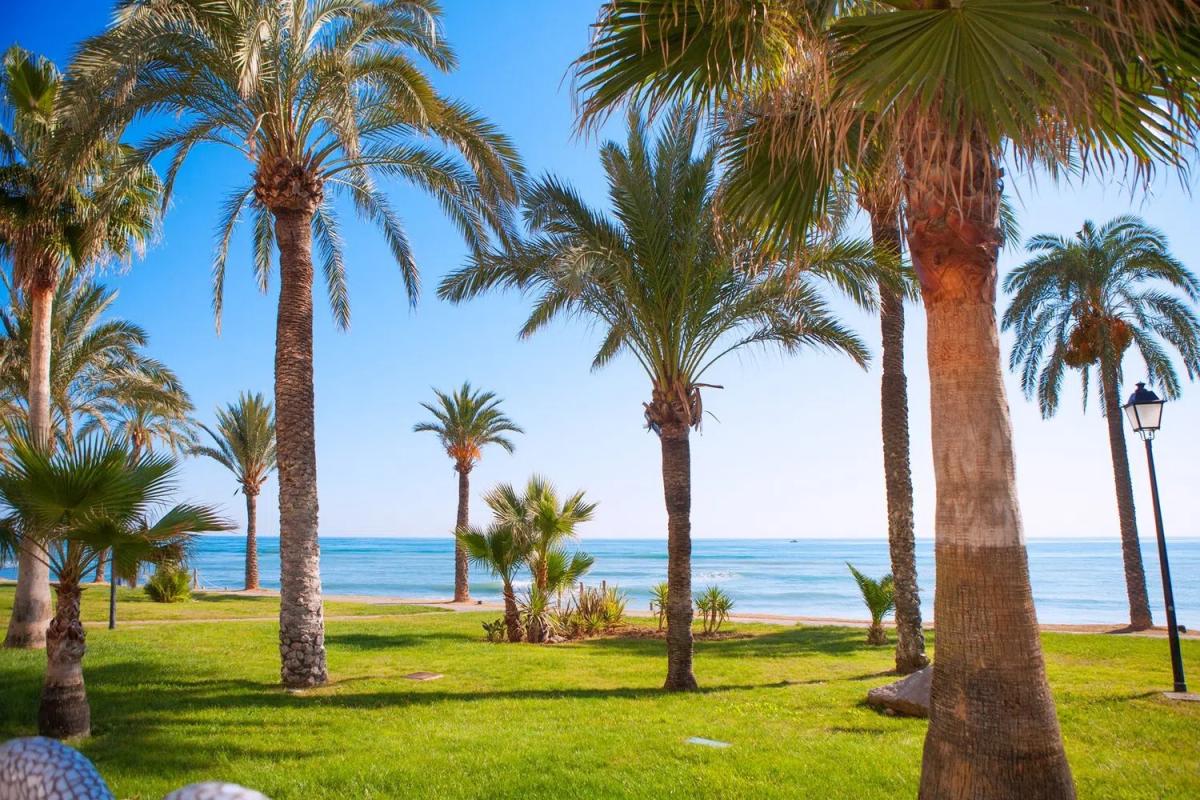 Venta de piso en Calle Casas del Padrón, Estepona
photo 5