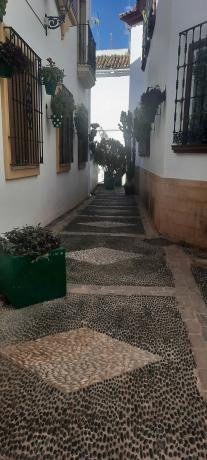 Detached villa for sale in  Calle Pujerra, Estepona photo 4