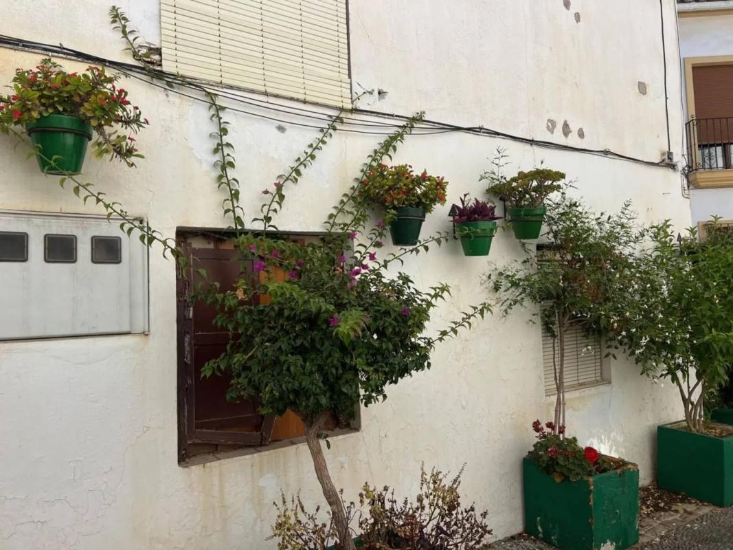 Sale of independent chalet in Calle Aurora, Estepona
photo 2