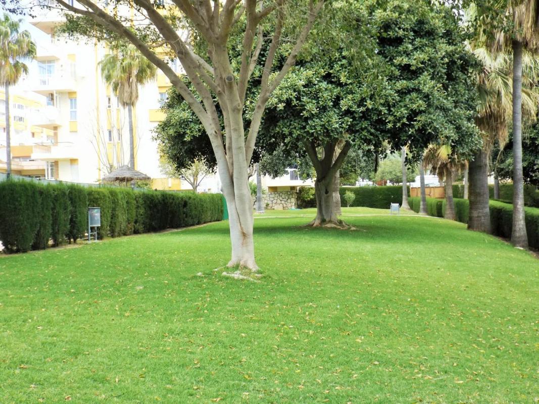 Venta de estudio en Avenida gamonal, Benalmádena photo 3