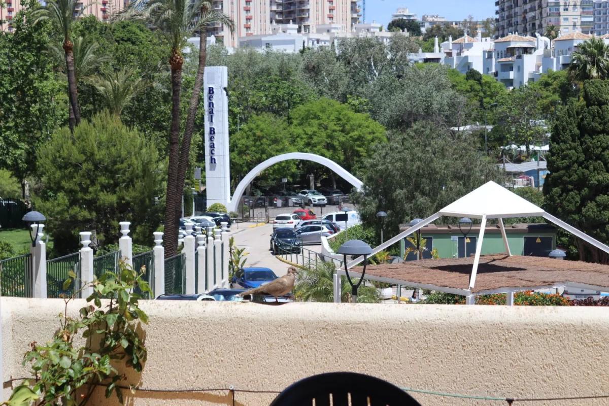 Sale of studio in Avenida del Parque, Benalmádena photo 5