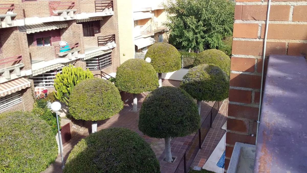 Sprzedaż niezależnego domku jednorodzinnego w  Centro, Alicante / Alacant photo 2
