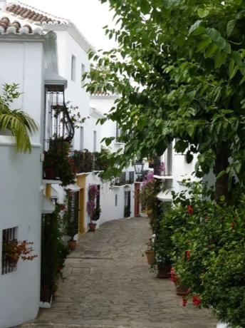 Chalet independiente en venta en  Calle Sierra Bermeja, Marbella photo 4