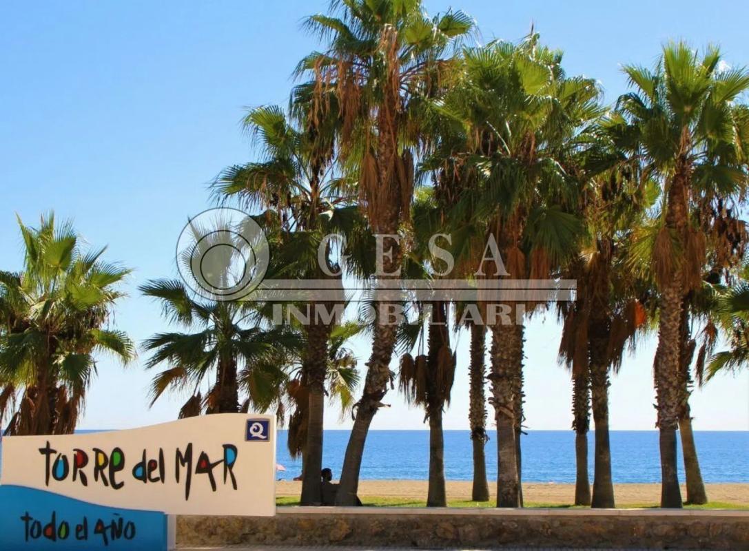 Sale of apartment in Centro, Tower of the Sea
photo 1
