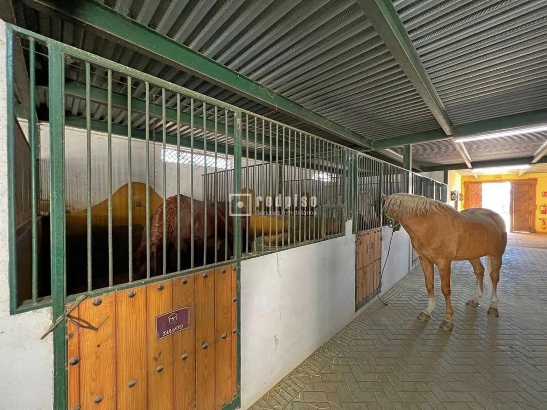 Продажа отдельного шале в Estación, Картама photo 5