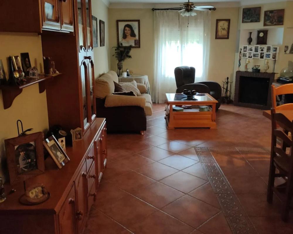 Sale of independent chalet in Avenida del Manzano, Marbella
 photo 5