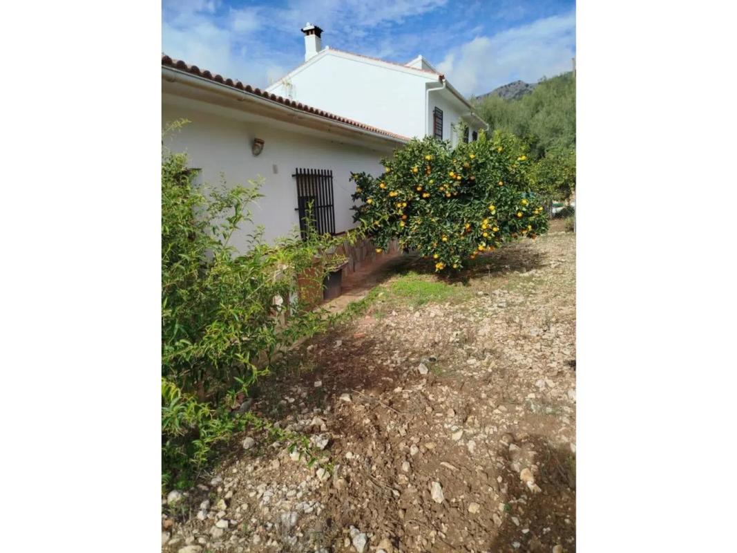 Продажа отдельного шале в , Алфаварнатехо photo 3