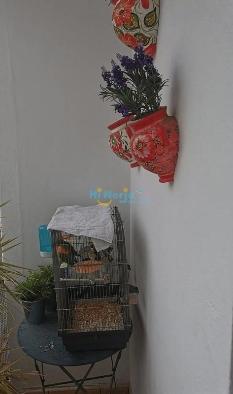 Sprzedaż niezależnego domku jednorodzinnego w Torrox Pueblo, Torrox photo 5