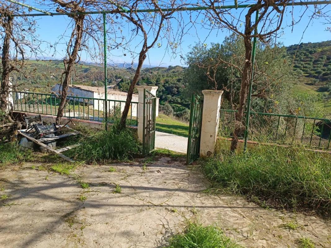Sprzedaż niezależnego domku jednorodzinnego w , Guaro photo 4