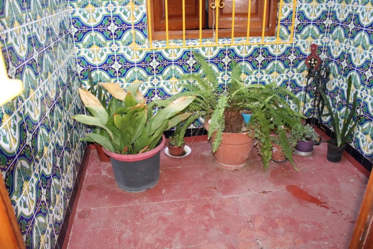 Venta de chalet independiente en Salvador Rueda, Vélez-Malaga
photo 5