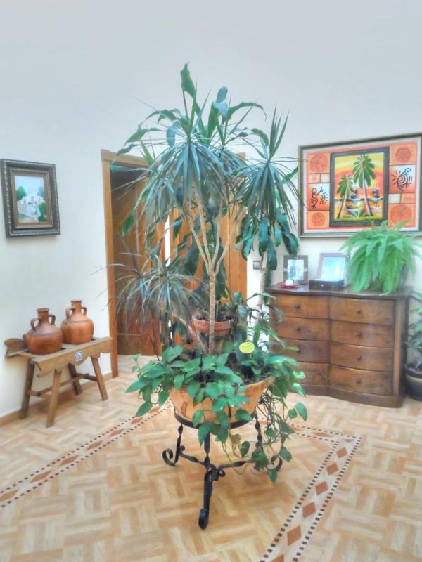 Sale of independent chalet in Cotomar - Urbanizaciones, Rincón de la Victoria
 photo 4