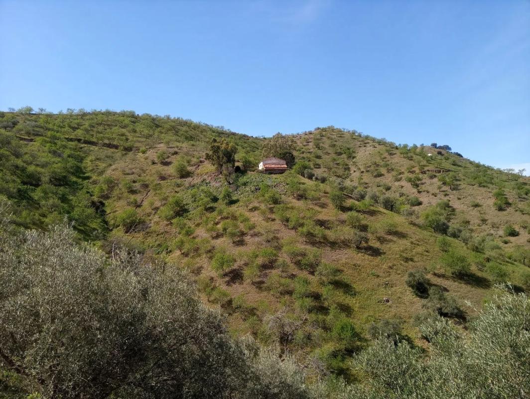 Casa independiente en Diseminado Diseminados, 1078, Almogía
photo 2