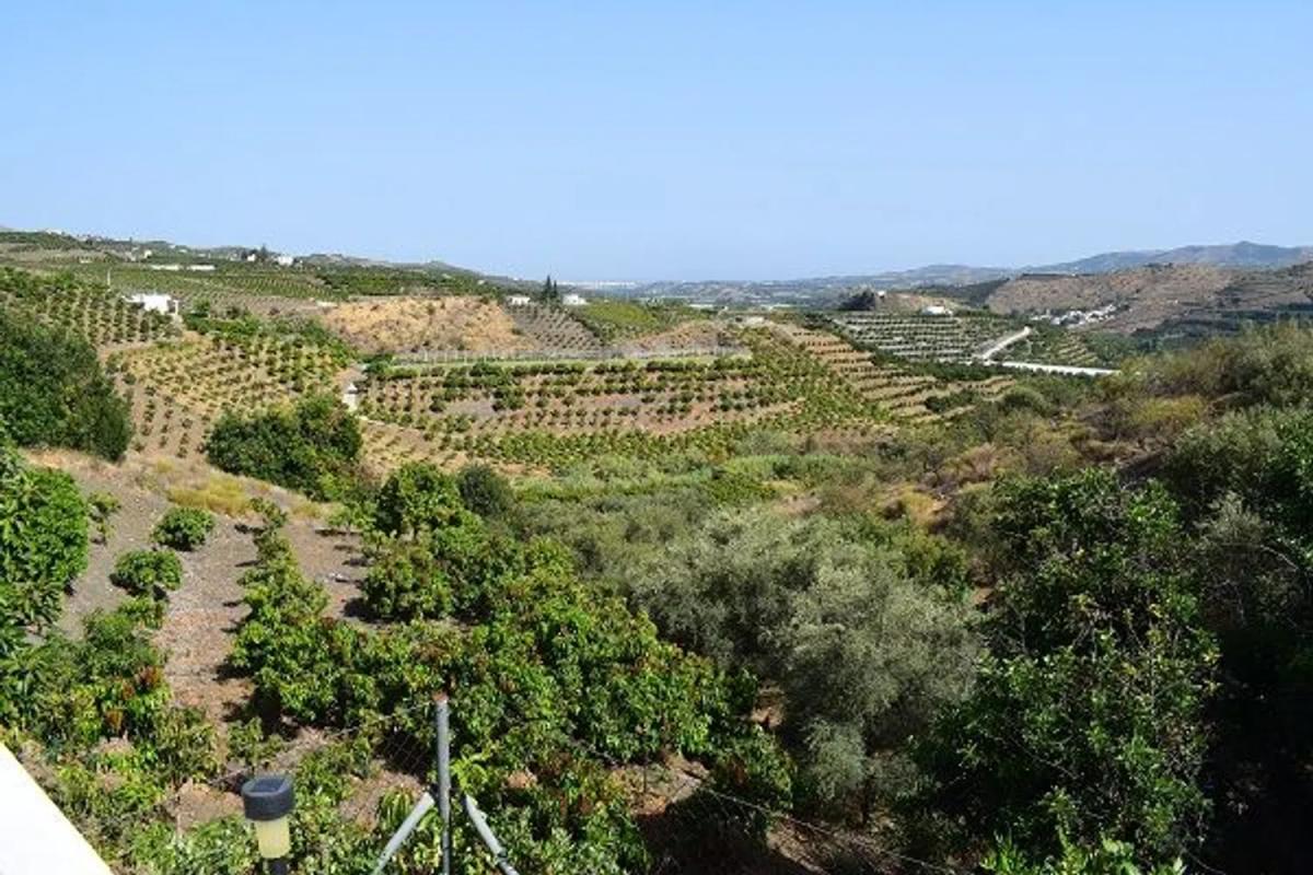 Sprzedaż niezależnego domku jednorodzinnego w Diseminado Atalaya Baja, Vélez-Málaga photo 2