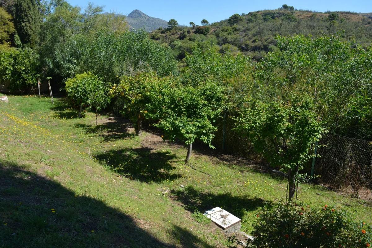 Venta de chalet independiente en Calle Hornacino, 4, Benahavís
 photo 4