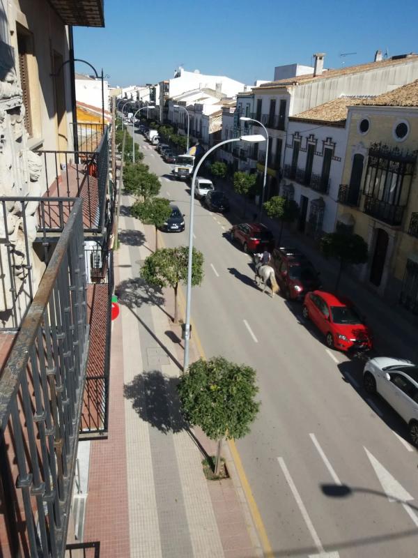 Piso en calle real, 15, Campillos
photo 1