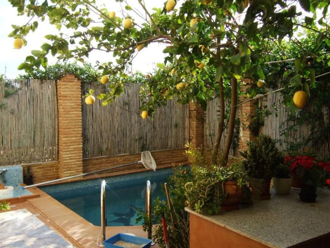 Продажа отдельного шале в Avenida Villa de Madrid, 38 A, Велес-Малага photo 4