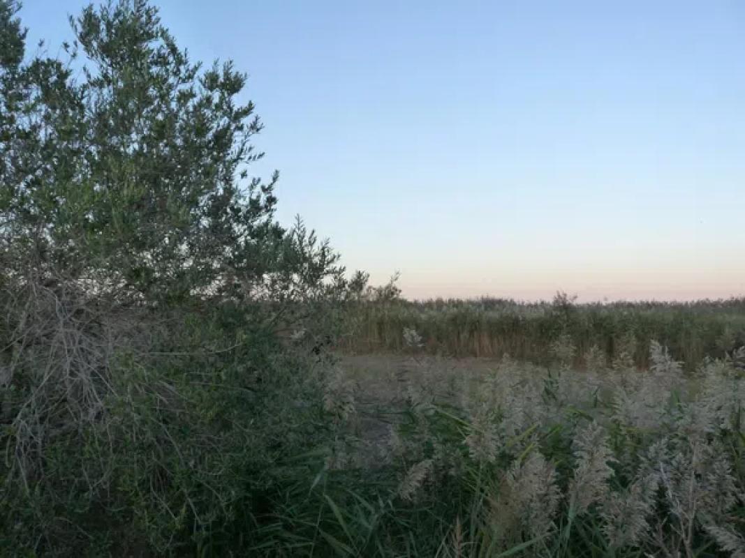 Terreno en venta en Pego, Alicante photo 3