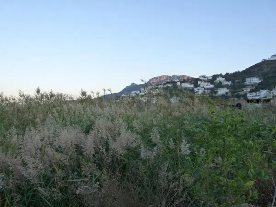 Terreno en venta en Pego, Alicante photo 4