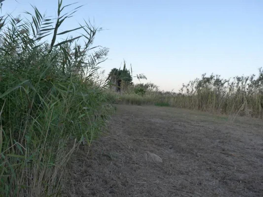 Terreno en venta en Pego, Alicante photo 5