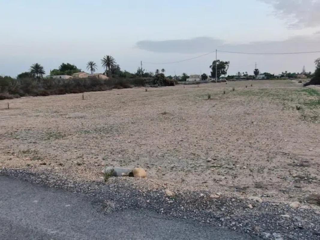 Land for sale in Fenollar Canyon, Alicante photo 1