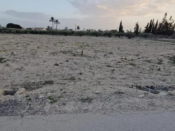 Terreno en Cañada del Fenollar photo 3