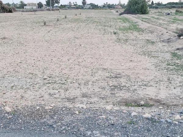 Terreno en Cañada del Fenollar photo 4